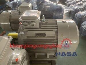 Động cơ điện Dasu