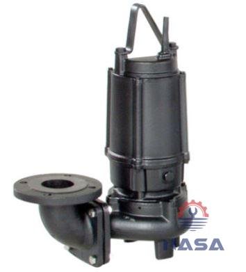 Ebara DVS1 Ebara DVS1