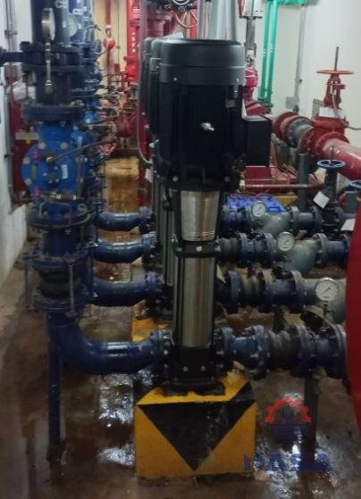 Ebara EVM2 máy bơm trục đứng ebara EVM