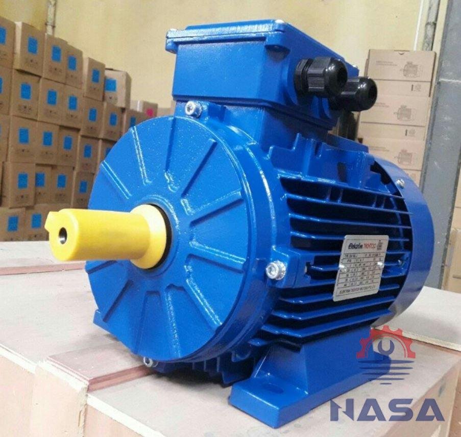 elektrim2 Động cơ điện