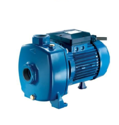 Máy bơm dân dụng Pentax MB 300-220V