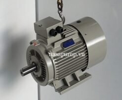 Động cơ điện Guanglu Y3-180L-6