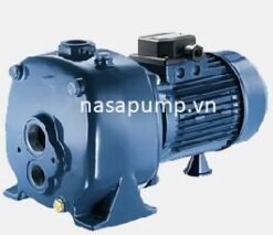 Bơm dân dụng PENTAX AP 100-2