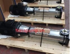 Bơm trục đứng EBARA EVMSG 15-11N5-Q1BEG-E/11
