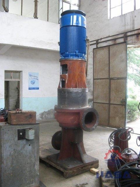WL-Vertical-Sewage-Pumps-3.jpg