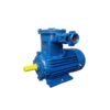 Motor chân đế phòng nổ Motology MEXD-112M-4 4kW 4Pole 380V 3 pha