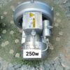 Máy thổi khí con sò Saverti SB110-250