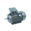 Motor chân đế Teco 0.25HP 2Pole 380V 3pha