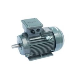 Motor chân đế Teco 0.75HP 6Pole 380V 3pha